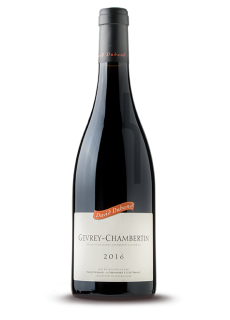 Gevrey Chambertin - Domaine David Duband